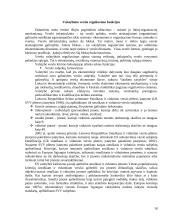 Verslo reguliavimas 18 puslapis