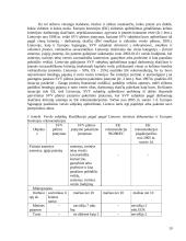 Verslo reguliavimas 19 puslapis