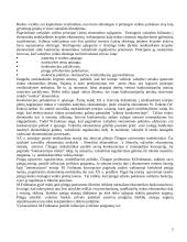 Verslo reguliavimas 3 puslapis