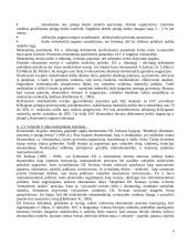 Verslo reguliavimas 4 puslapis