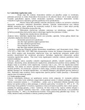 Verslo reguliavimas 6 puslapis