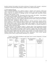 Verslo reguliavimas 8 puslapis