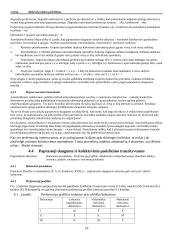 Viešojo sektoriaus ekonomikos paskaitų teorinė medžiaga 19 puslapis