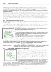 Viešojo sektoriaus ekonomikos paskaitų teorinė medžiaga 20 puslapis