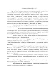 Visuomenės pagrindai 10 puslapis
