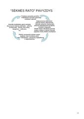 Visuomenės psichikos sveikata 12 puslapis
