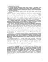 XVII amžiaus dailė. Barokas 3 puslapis