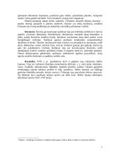 XVII amžiaus dailė. Barokas 6 puslapis