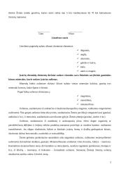 Žemės sandara 2 puslapis