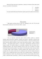 Žemės sandara 3 puslapis