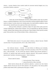 Žemės sandara 4 puslapis