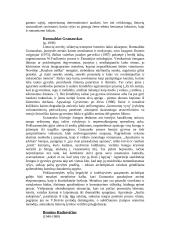 Žymiausi Lietuvos prozininkai 17 puslapis
