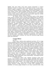 Žymiausi Lietuvos prozininkai 3 puslapis