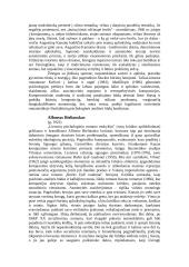 Žymiausi Lietuvos prozininkai 9 puslapis