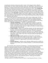 Žinių vadyba 7 puslapis