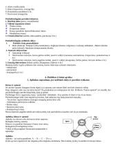 Žmogaus psichofiziologiniai atstatomieji procesai 3 puslapis