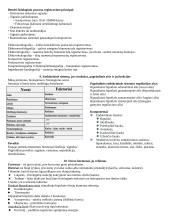 Žmogaus psichofiziologiniai atstatomieji procesai 7 puslapis