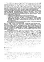 Žmogus bei visuomenė 8 puslapis