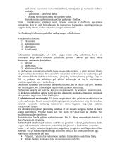 Žmonių saugos reikšmė 6 puslapis