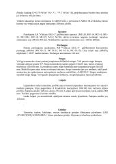 2 aukštų gyvenamasis namas 4 puslapis