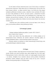 4 kambarių gyvenamasis namas su mansarda 8 puslapis