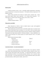 Dviejų aukštų gyvenamasis namas su rūsiu 2 puslapis