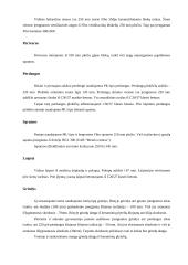 Dviejų aukštų gyvenamasis namas su rūsiu 6 puslapis