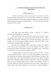 Gyvenamojo namo darbų sąnaudos 5 puslapis