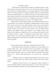 Gyvenamojo namo darbų sąnaudos 8 puslapis