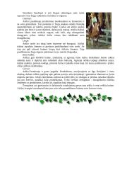 Arklių elgsena 2 puslapis
