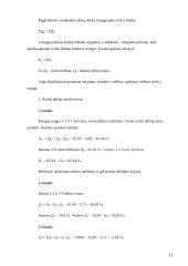 Hidraulinis žiedinis tinklas 11 puslapis