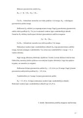 Hidraulinis žiedinis tinklas 17 puslapis