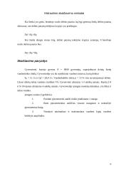 Hidraulinis žiedinis tinklas 6 puslapis