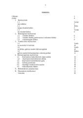 Hidroelektrinė kaip atsinaujinantis energijos šaltinis 3 puslapis
