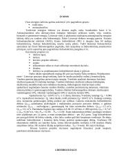 Hidroelektrinė kaip atsinaujinantis energijos šaltinis 4 puslapis