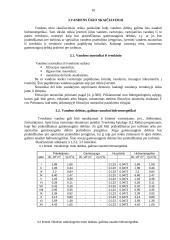 Hidroelektrinė kaip atsinaujinantis energijos šaltinis 10 puslapis
