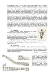 Kalkių gamybos technologinė linija 12 puslapis