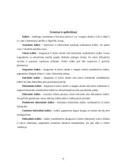 Kalkių gamybos technologinė linija 4 puslapis