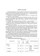 Kalkių gamybos technologinė linija 5 puslapis