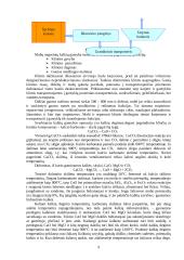 Kalkių gamybos technologinė linija 9 puslapis