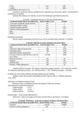 Keraminių čerpių gamybos cechas 11 puslapis