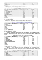 Keraminių čerpių gamybos cechas 13 puslapis