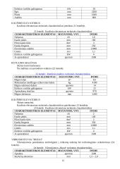 Keraminių čerpių gamybos cechas 14 puslapis