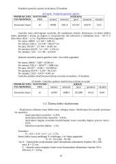 Keraminių čerpių gamybos cechas 17 puslapis