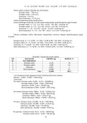 Keraminių čerpių gamybos cechas 18 puslapis