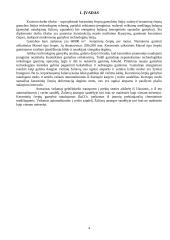 Keraminių čerpių gamybos cechas 3 puslapis