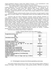 Keraminių čerpių gamybos cechas 5 puslapis