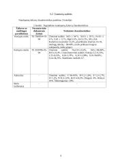 Keraminių čerpių gamybos cechas 8 puslapis