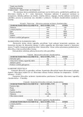 Keraminių čerpių gamybos cechas 10 puslapis