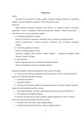 Kompiuterinis projektavimas 2 puslapis